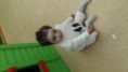 /album/halloween-2015/a20151030-105138-1-jpg/
